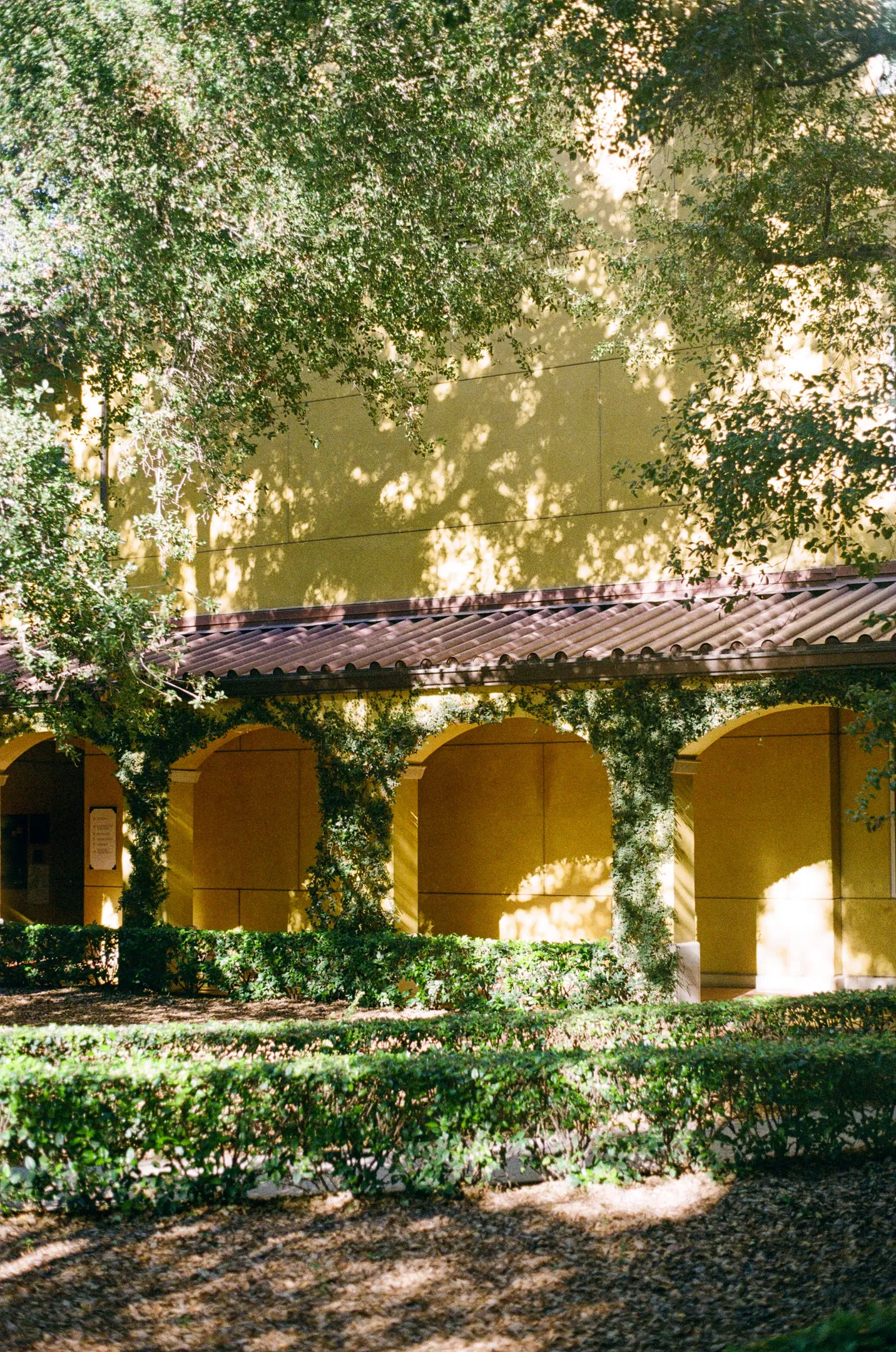 Image in photography gallery