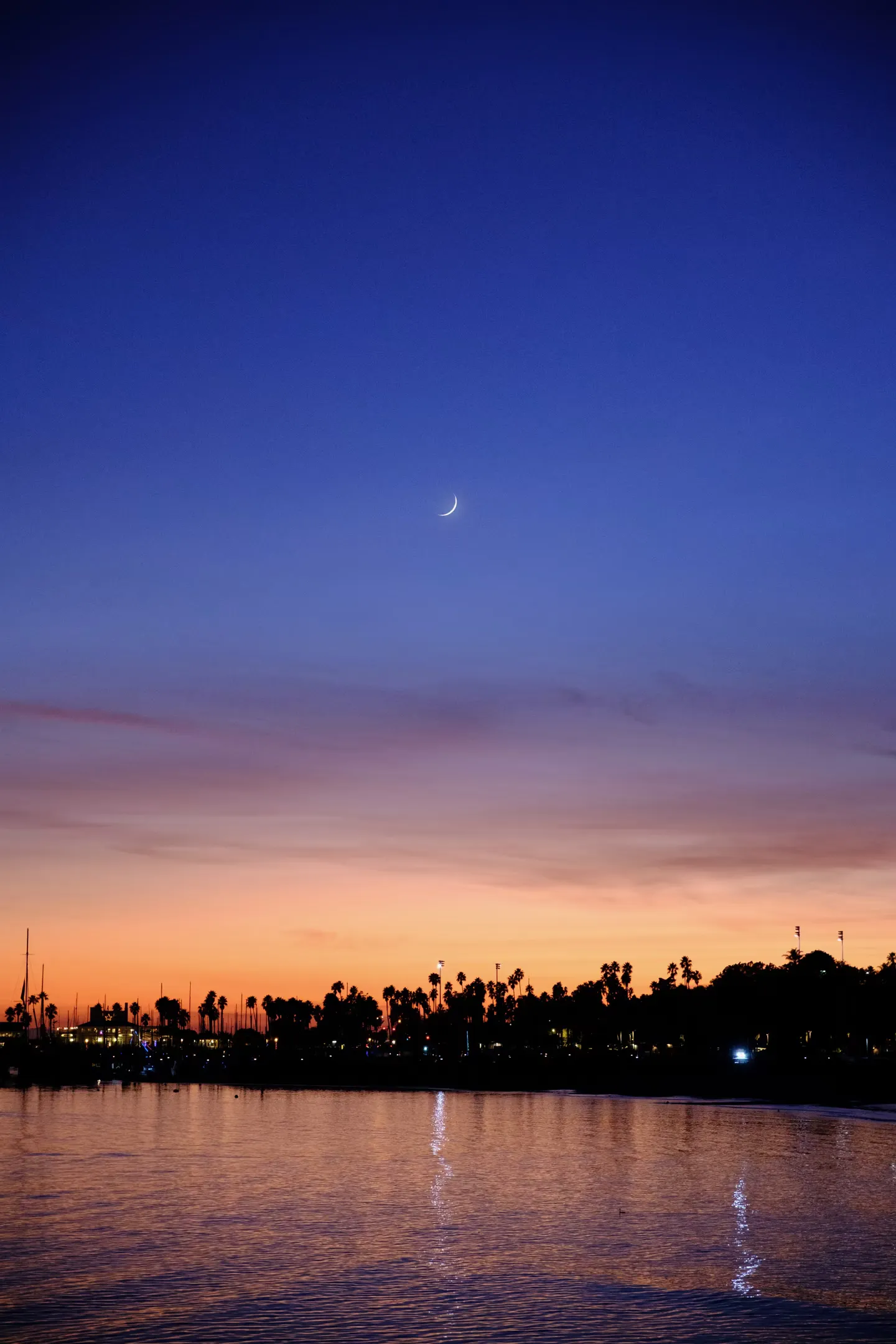 Image in photography gallery