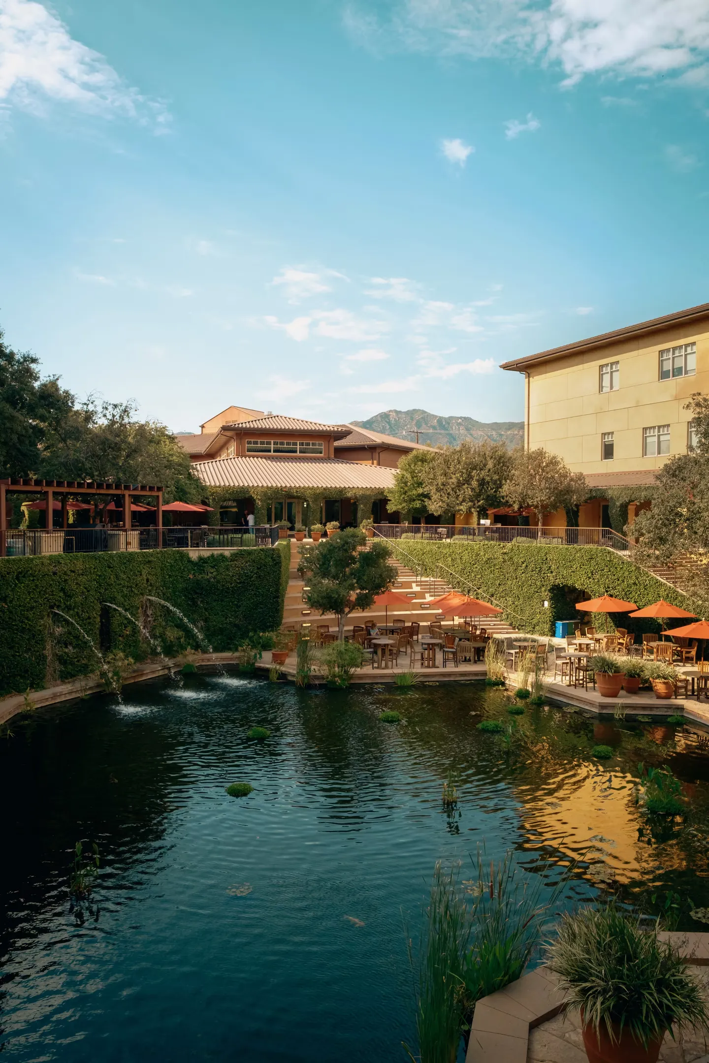 Image in photography gallery