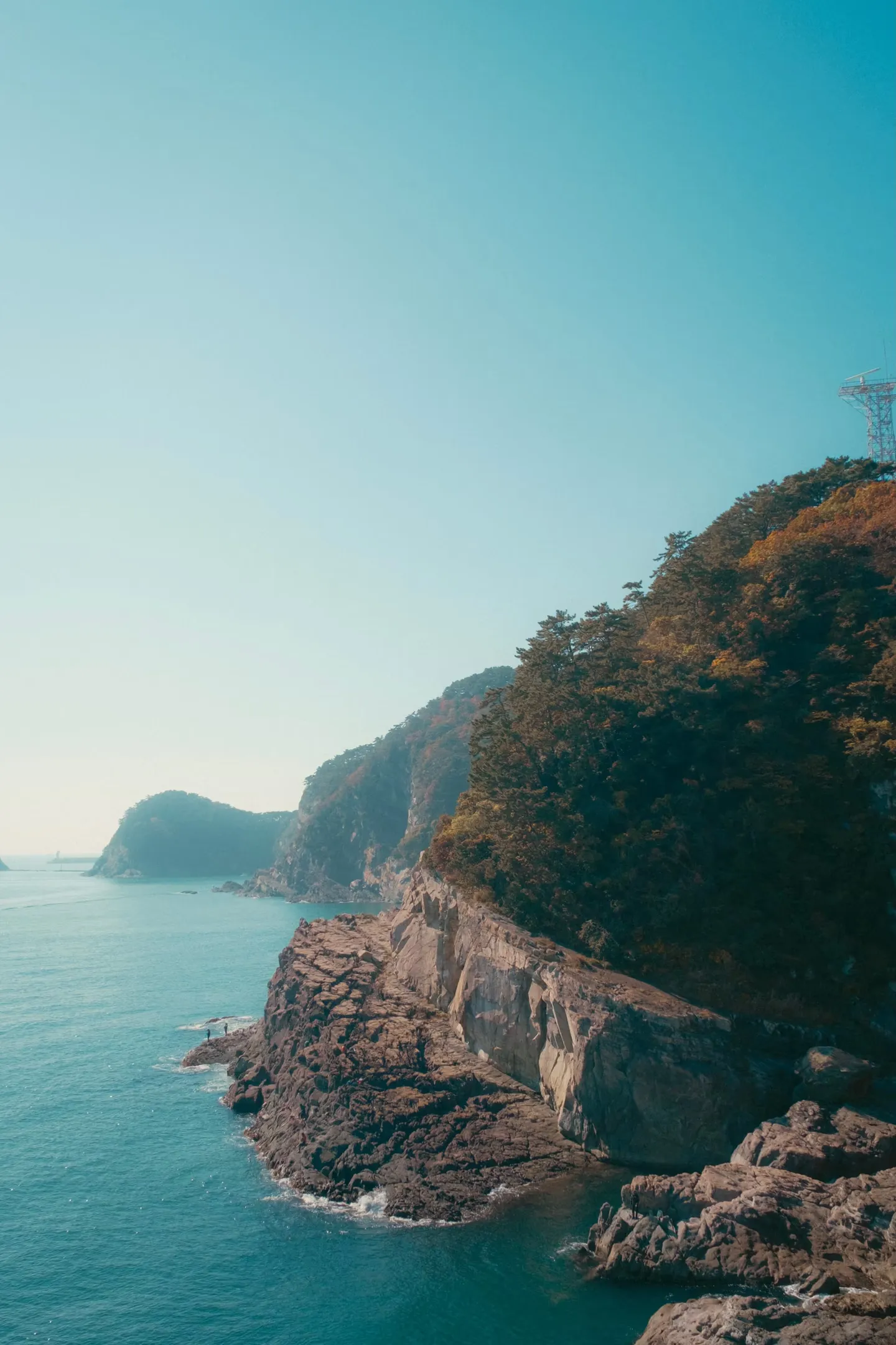 Image in photography gallery