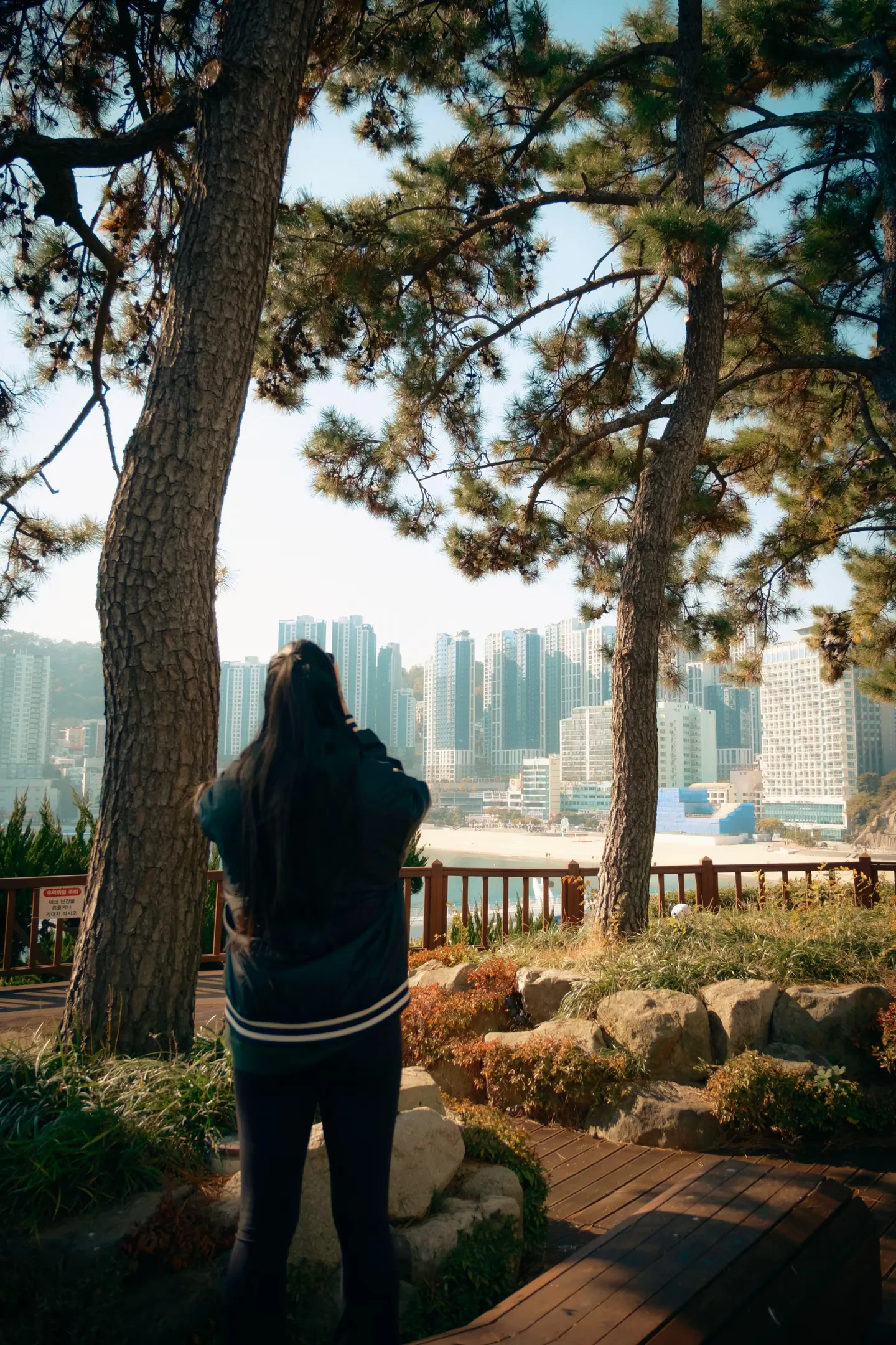 Image in photography gallery